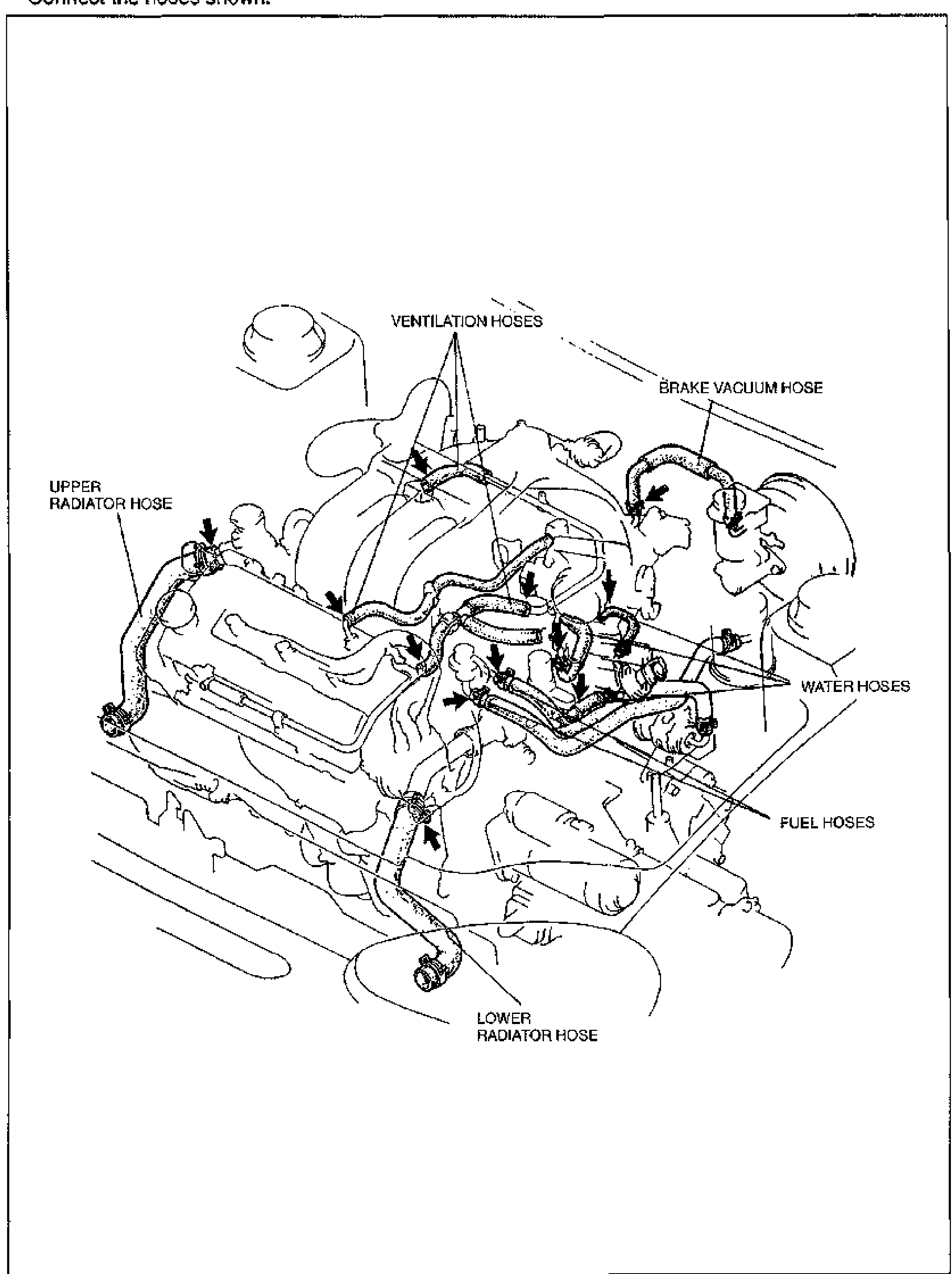 Large engine-bay hose routing diagram for the V6 engine. Arrows point to each hose connection. Labeled hoses: VENTILATION HOSES (top center), BRAKE VACUUM HOSE (top right), UPPER RADIATOR HOSE (left), LOWER RADIATOR HOSE (bottom center), WATER HOSES (right), FUEL HOSES (right). Shows where each hose connects on the engine.