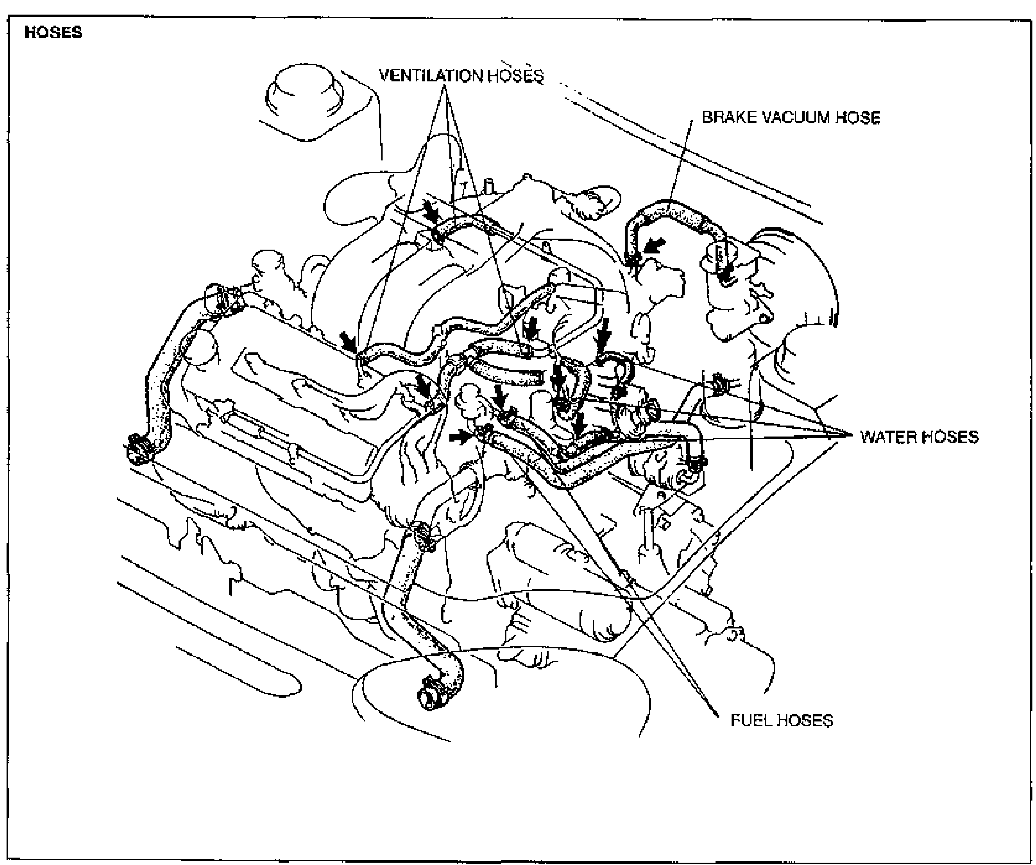 Engine-bay hose routing diagram (HOSES) for the V6 engine showing hose disconnect/connect points with arrows. Labeled callouts: VENTILATION HOSES (top center), BRAKE VACUUM HOSE (top right), WATER HOSES (right), FUEL HOSES (lower right).