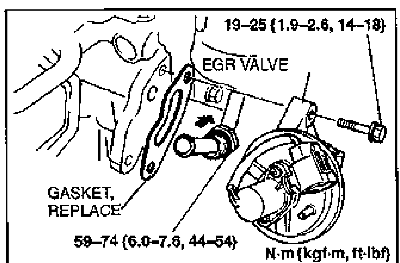 Exploded/installed view of the EGR valve mounting with tightening torques. Callouts: EGR VALVE, GASKET (REPLACE), bolt torque 19-25 N·m {1.9-2.6 kgf·m, 14-18 ft-lbf} for the upper fastener and 59-74 N·m {6.0-7.6 kgf·m, 44-54 ft-lbf} for the lower mounting. Units note: N·m {kgf·m, ft-lbf}.