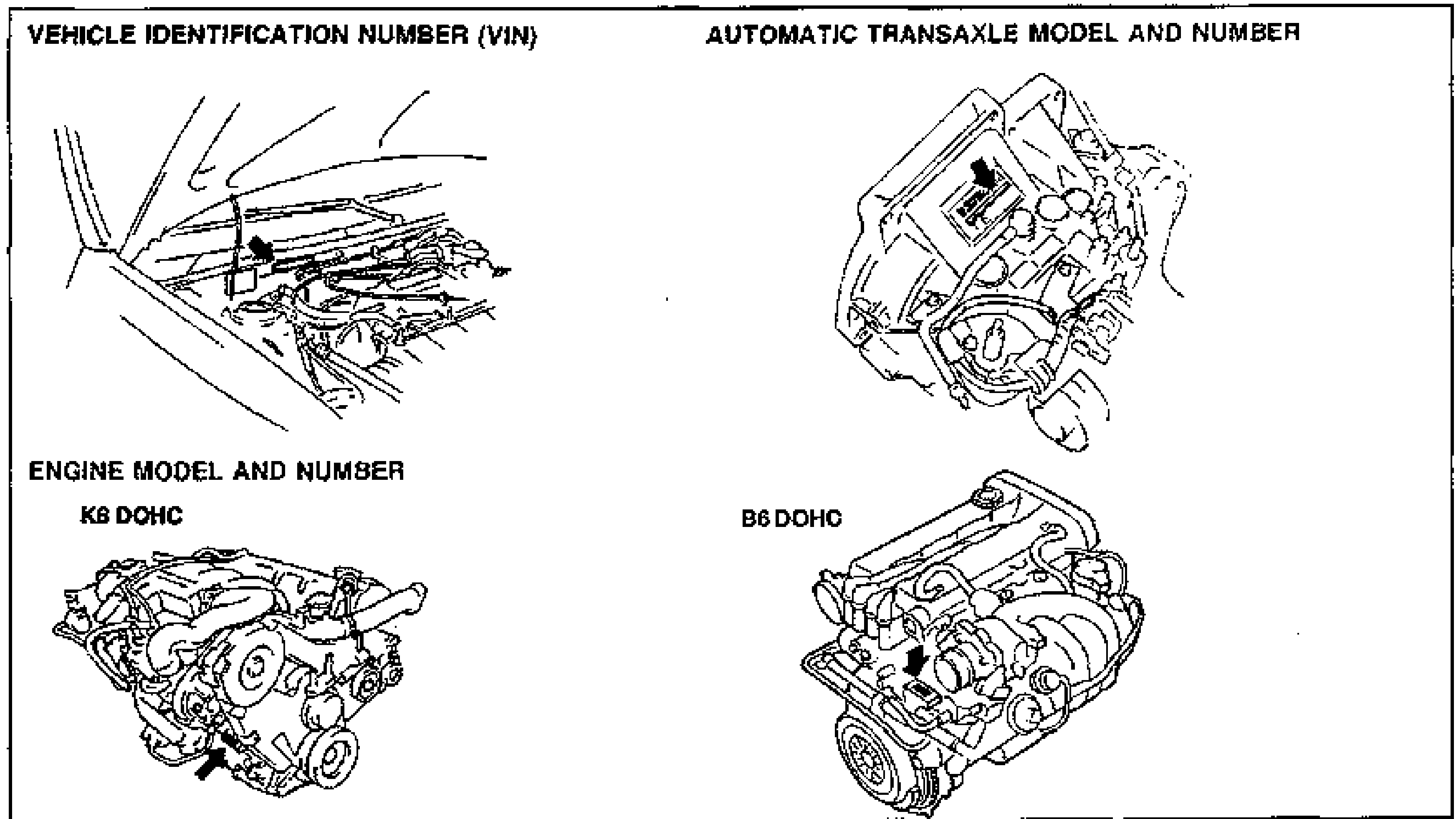 Bordered panel showing four identification-number locations as labeled line drawings with arrows pointing to each stamping/plate. Top-left: VEHICLE IDENTIFICATION NUMBER (VIN), arrow to the engine-bay bulkhead area. Top-right: AUTOMATIC TRANSAXLE MODEL AND NUMBER, arrow to a plate on the transaxle case. Bottom-left: ENGINE MODEL AND NUMBER for the K8 DOHC engine, arrow to the stamping on the block. Bottom-right: ENGINE MODEL AND NUMBER for the B6 DOHC engine, arrow to the stamping on the block.