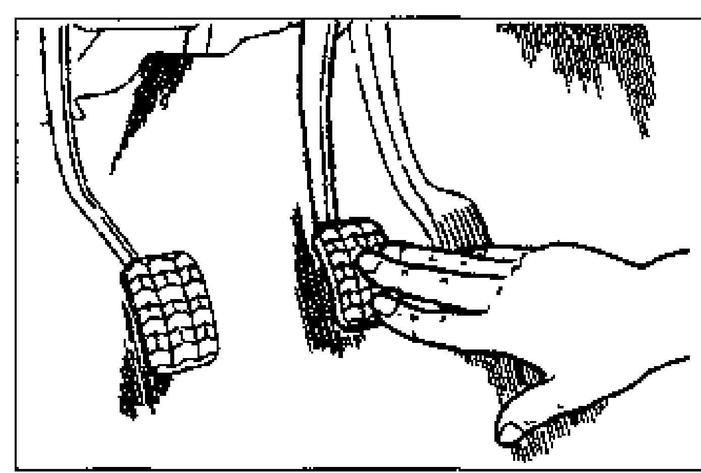 Hand gently depressing the brake pedal to check the free play. Shows the brake pedal and footrest pedal area in the driver footwell.